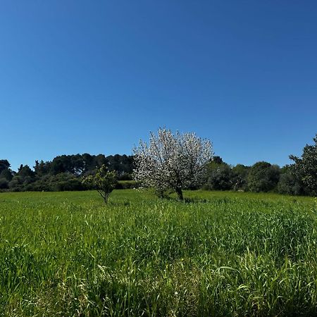マルティナ・フランカ Trulli Del Soleヴィラ エクステリア 写真