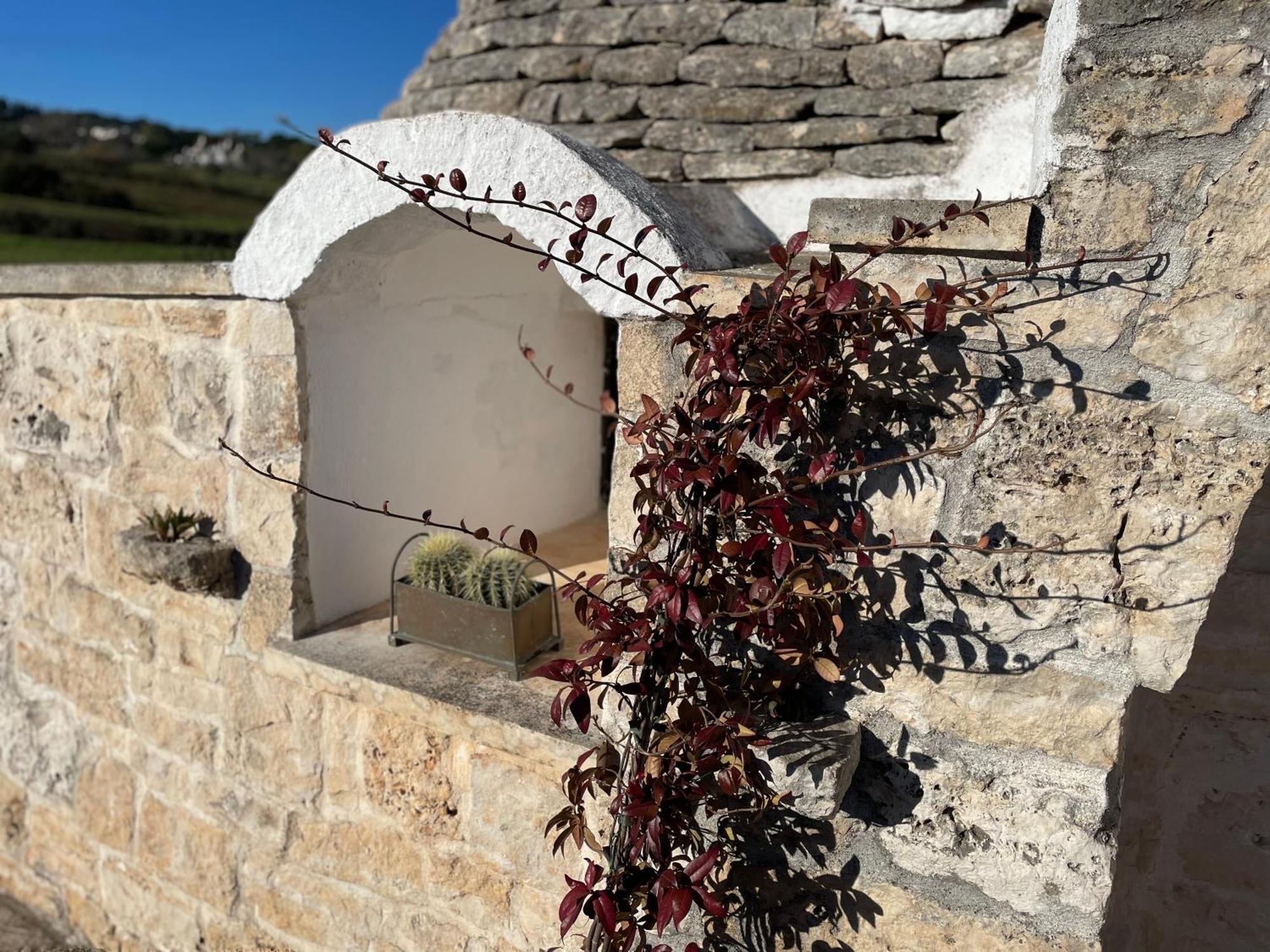 マルティナ・フランカ Trulli Del Soleヴィラ エクステリア 写真